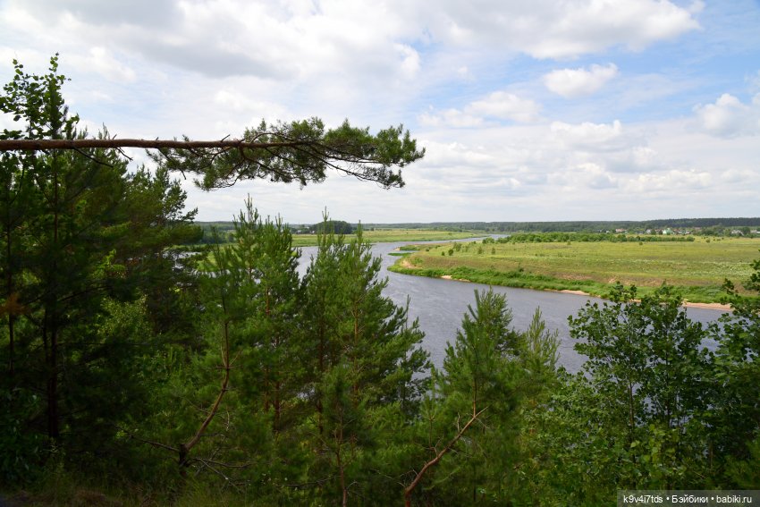 Лесная прогулка Ивы и Авроры