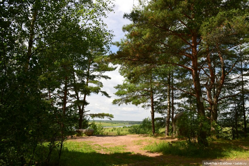 Лесная прогулка Ивы и Авроры