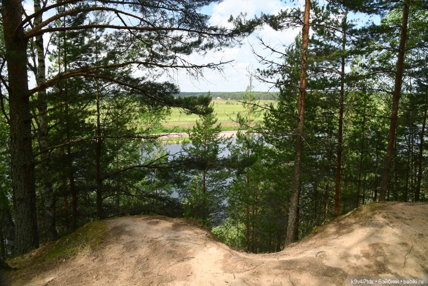 Лесная прогулка Ивы и Авроры