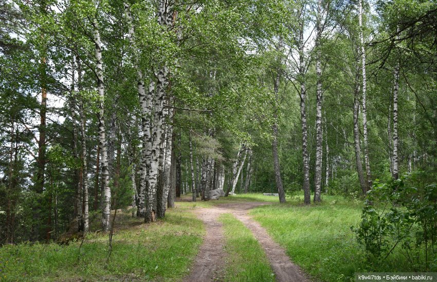 Лесная прогулка Ивы и Авроры