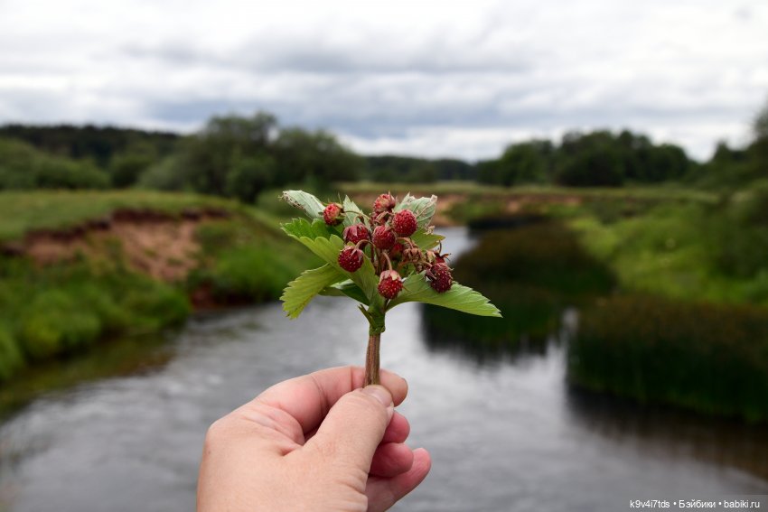 Тиана, Ива и Аврора на Тьме. Minimalini от BUDI BASA