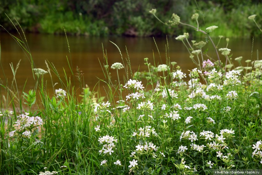 Тиана, Ива и Аврора на Тьме. Minimalini от BUDI BASA