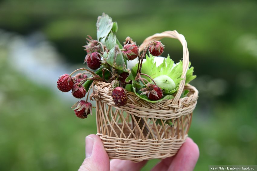 Тиана, Ива и Аврора на Тьме. Minimalini от BUDI BASA