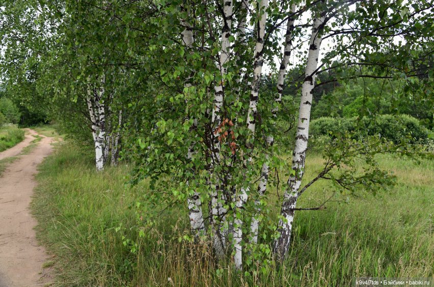 Тиана, Ива и Аврора на Тьме. Minimalini от BUDI BASA