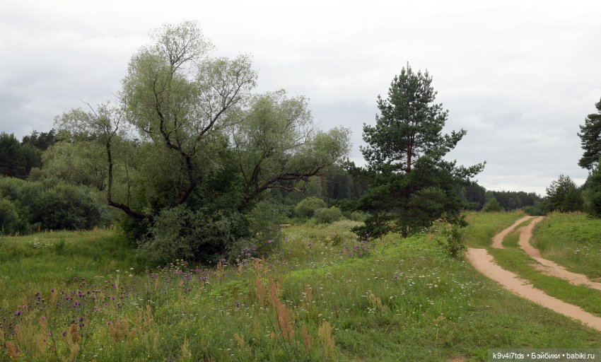 Тиана, Ива и Аврора на Тьме. Minimalini от BUDI BASA