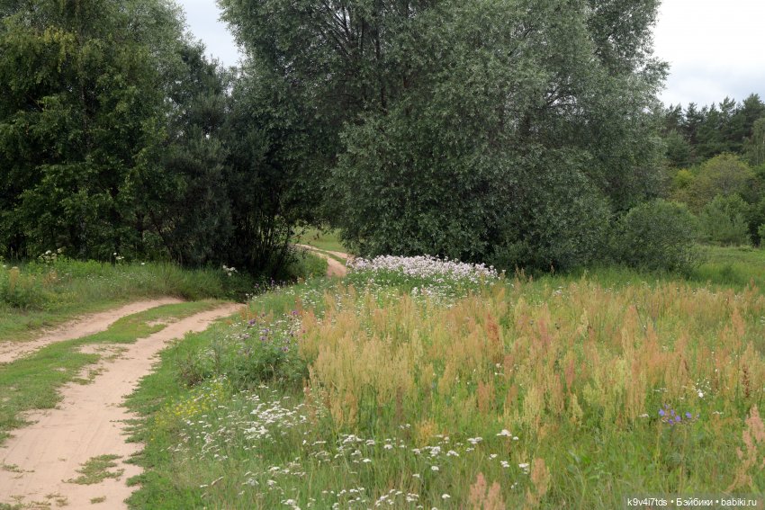 Тиана, Ива и Аврора на Тьме. Minimalini от BUDI BASA