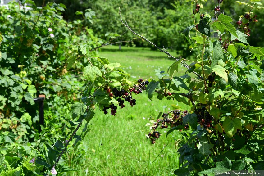 Путешествие в Старицу — Туризм и путешествия: фотоотчеты из поездок