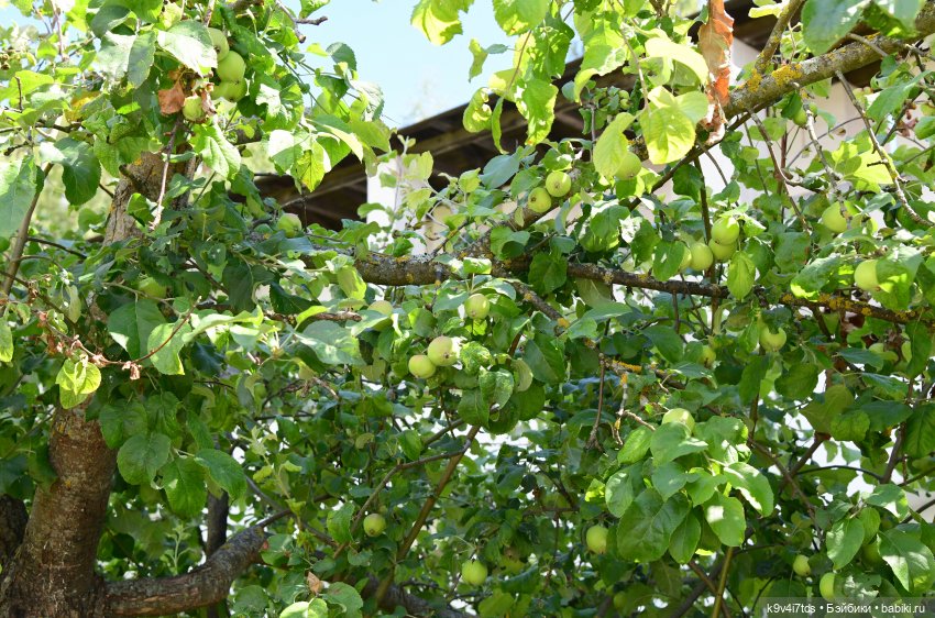 Путешествие в Старицу — Туризм и путешествия: фотоотчеты из поездок