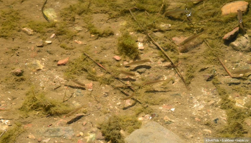 Путешествие в Старицу — Туризм и путешествия: фотоотчеты из поездок