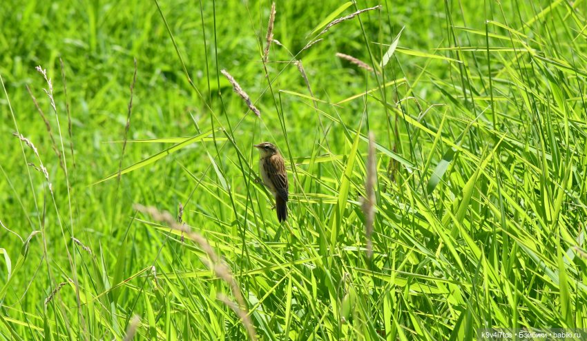 Путешествие в Старицу — Туризм и путешествия: фотоотчеты из поездок (фото 6)