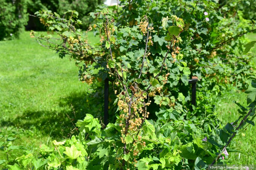 Путешествие в Старицу — Туризм и путешествия: фотоотчеты из поездок