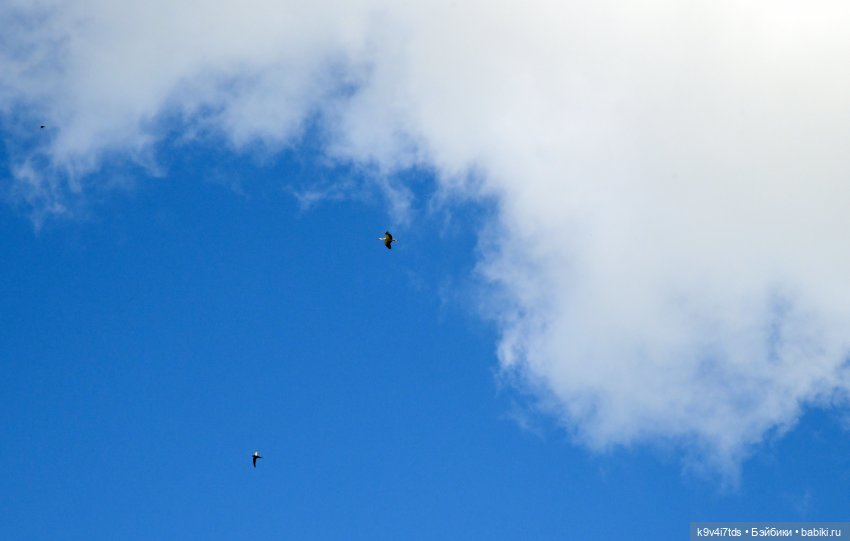 Путешествие в Старицу — Туризм и путешествия: фотоотчеты из поездок (фото 2)