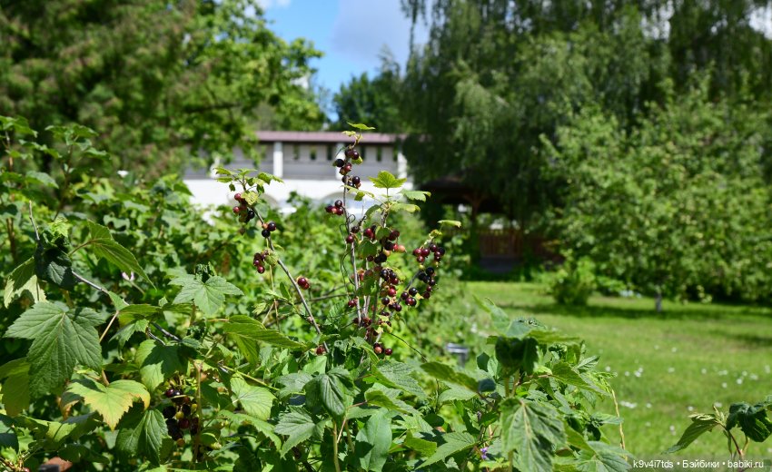 Путешествие в Старицу — Туризм и путешествия: фотоотчеты из поездок