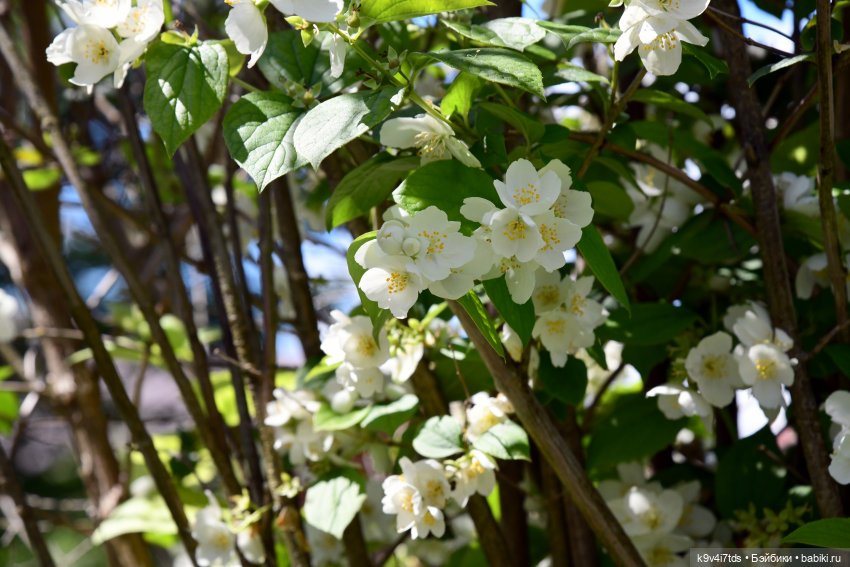 Путешествие в Старицу — Туризм и путешествия: фотоотчеты из поездок