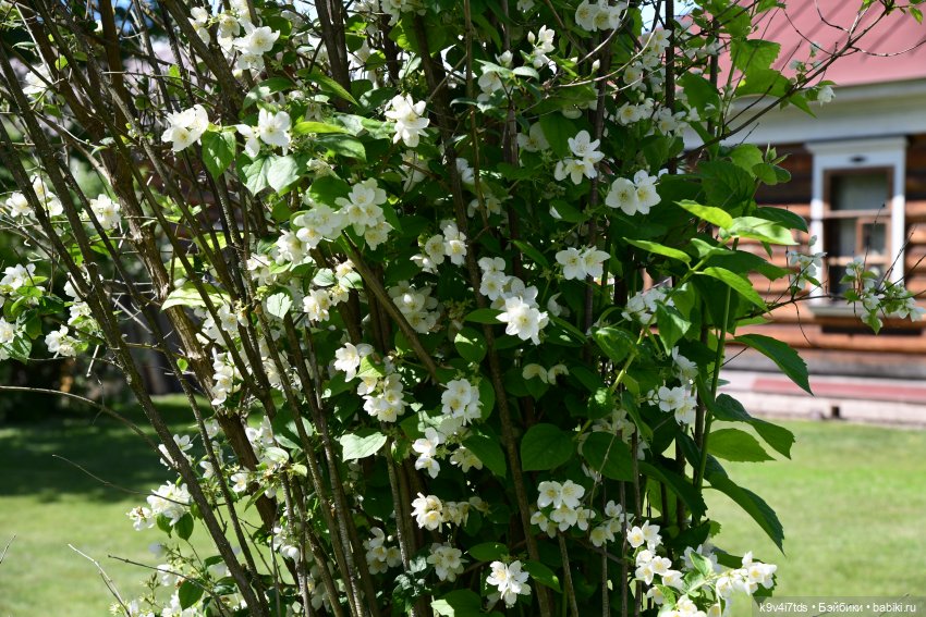 Путешествие в Старицу — Туризм и путешествия: фотоотчеты из поездок