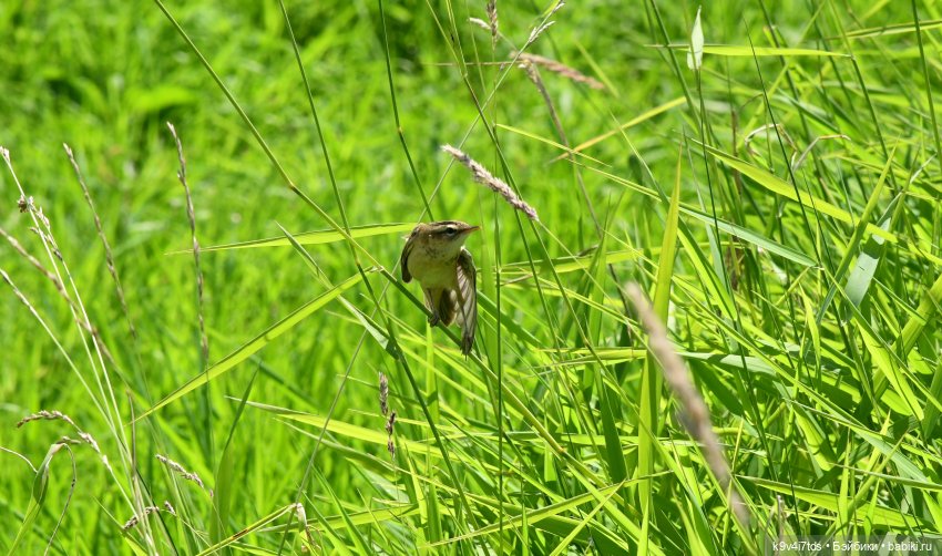 Путешествие в Старицу — Туризм и путешествия: фотоотчеты из поездок (фото 7)