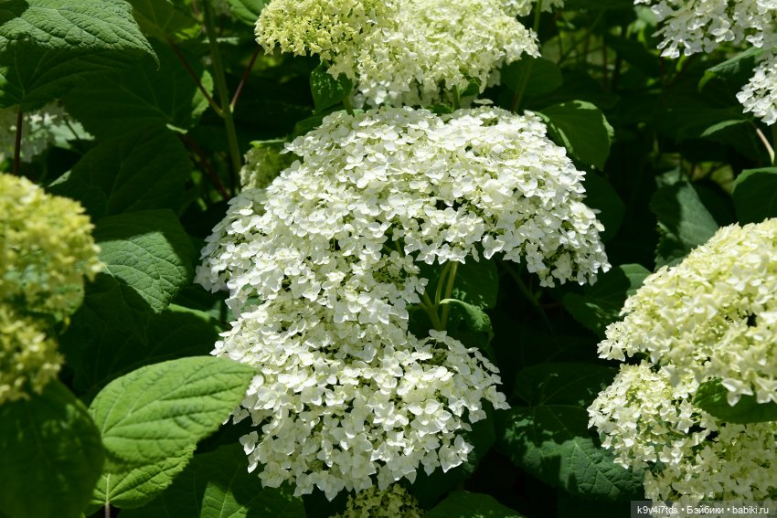 Путешествие в Старицу — Туризм и путешествия: фотоотчеты из поездок