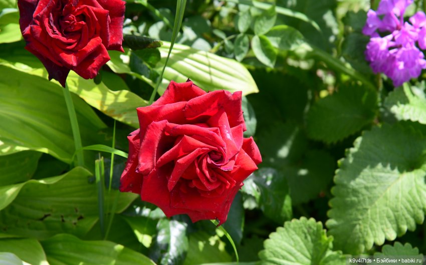 Путешествие в Старицу — Туризм и путешествия: фотоотчеты из поездок