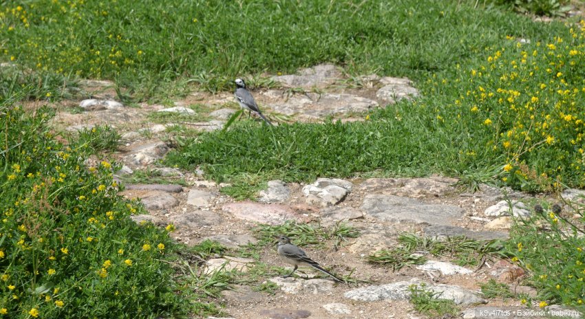 Путешествие в Старицу — Туризм и путешествия: фотоотчеты из поездок