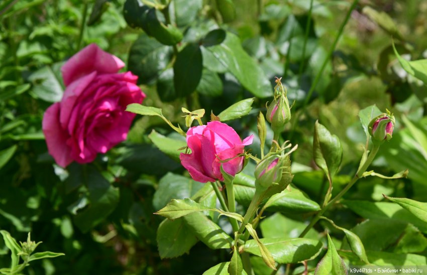 Путешествие в Старицу — Туризм и путешествия: фотоотчеты из поездок