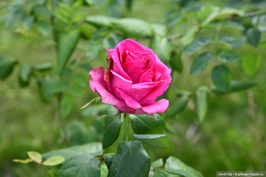 Путешествие в Старицу — Туризм и путешествия: фотоотчеты из поездок