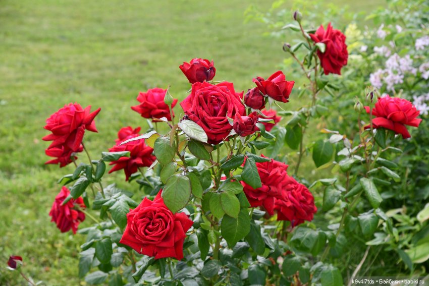 Путешествие в Старицу — Туризм и путешествия: фотоотчеты из поездок