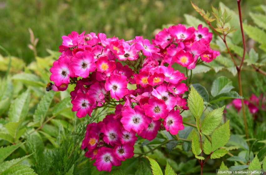 Путешествие в Старицу — Туризм и путешествия: фотоотчеты из поездок