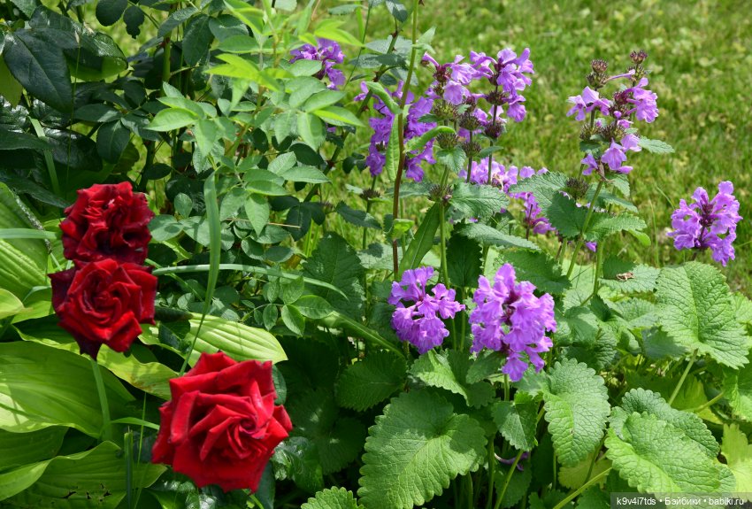 Путешествие в Старицу — Туризм и путешествия: фотоотчеты из поездок