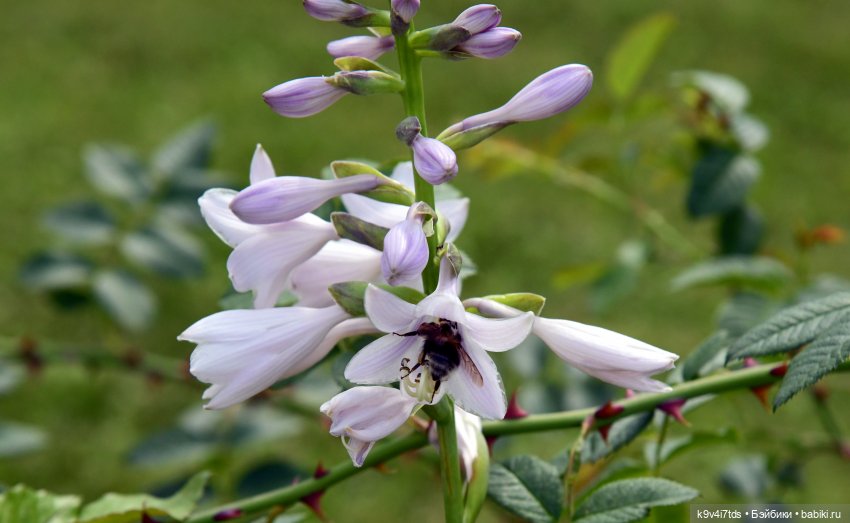 Путешествие в Старицу — Туризм и путешествия: фотоотчеты из поездок