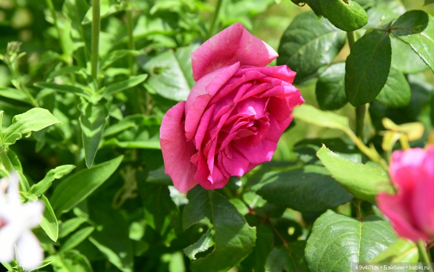 Путешествие в Старицу — Туризм и путешествия: фотоотчеты из поездок