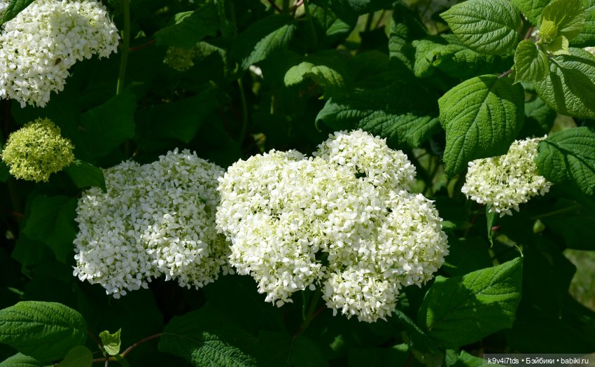 Путешествие в Старицу — Туризм и путешествия: фотоотчеты из поездок