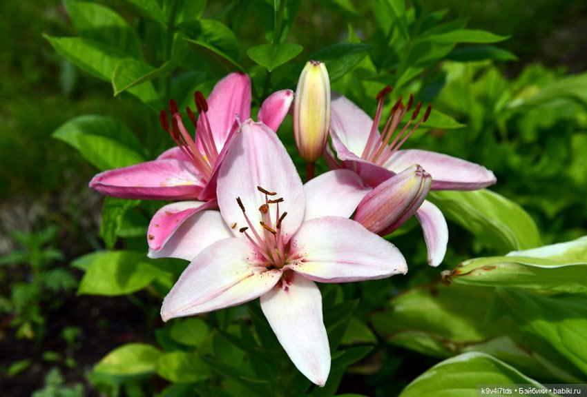 Путешествие в Старицу — Туризм и путешествия: фотоотчеты из поездок