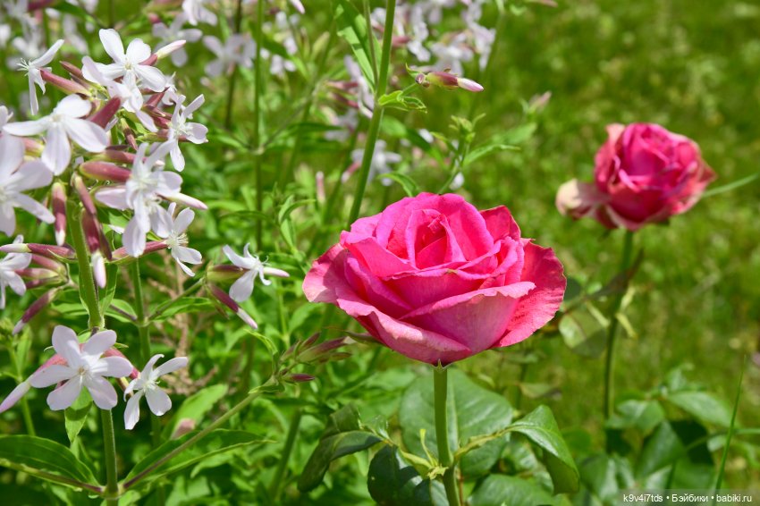 Путешествие в Старицу — Туризм и путешествия: фотоотчеты из поездок