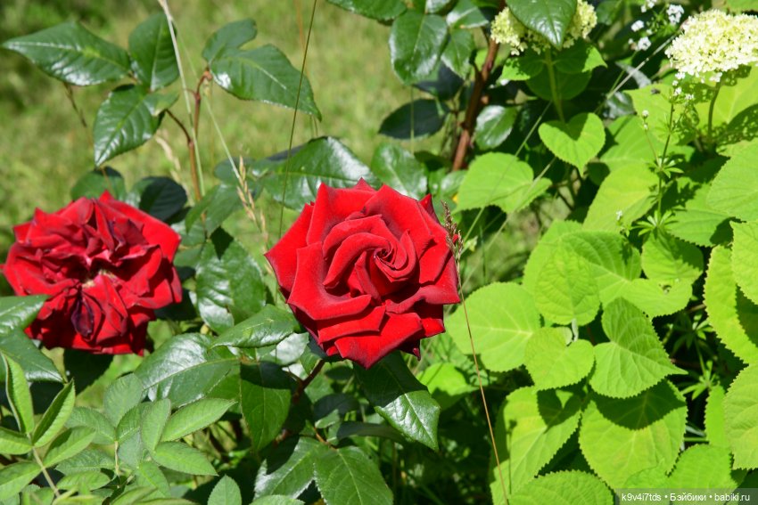 Путешествие в Старицу — Туризм и путешествия: фотоотчеты из поездок