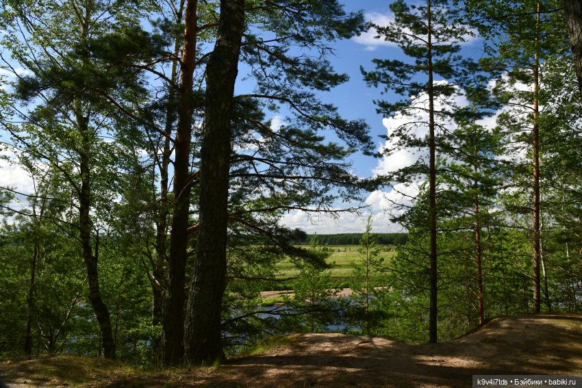 Первая прогулка Саши. Sasha Morgenthaler