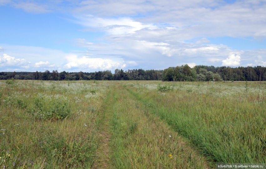 Первая прогулка Саши. Sasha Morgenthaler