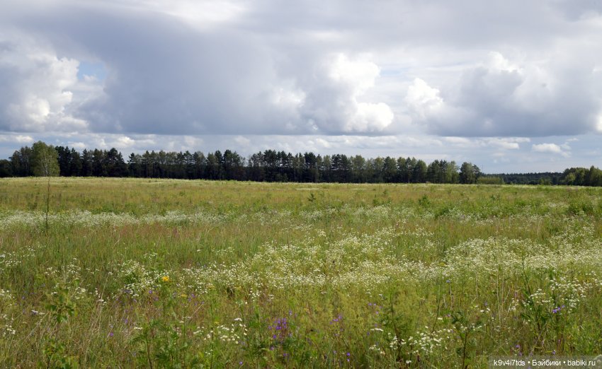 Первая прогулка Саши. Sasha Morgenthaler (фото 7)