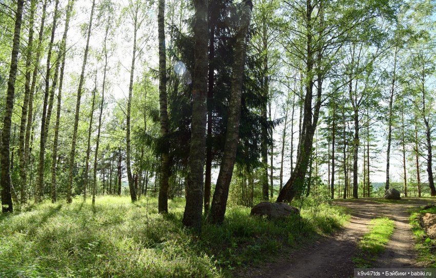 Первая прогулка Саши. Sasha Morgenthaler