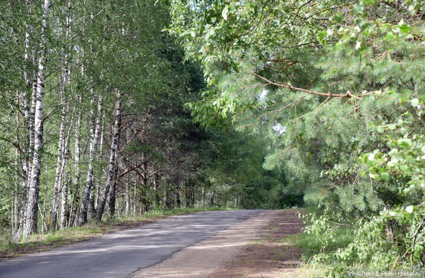 Первая прогулка Саши. Sasha Morgenthaler