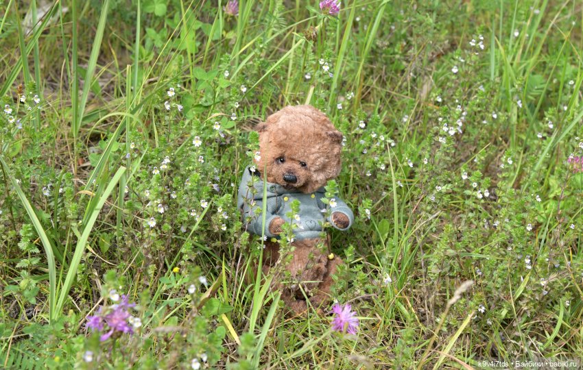 Первое путешествие Дороти. Тверской Водопад | Бэйбики Первое путешествие Дороти. Тверской Водопад