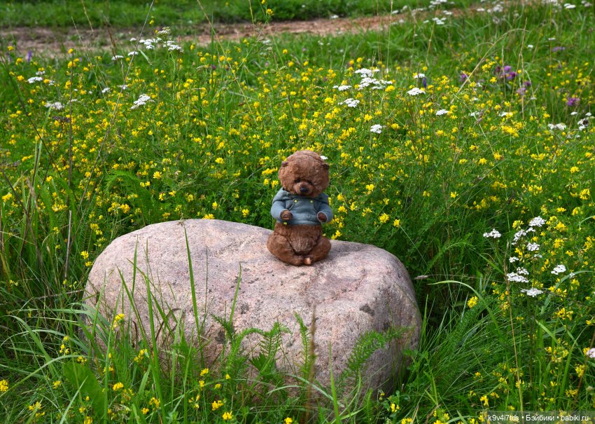 Первое путешествие Дороти. Тверской Водопад | Бэйбики Первое путешествие Дороти. Тверской Водопад