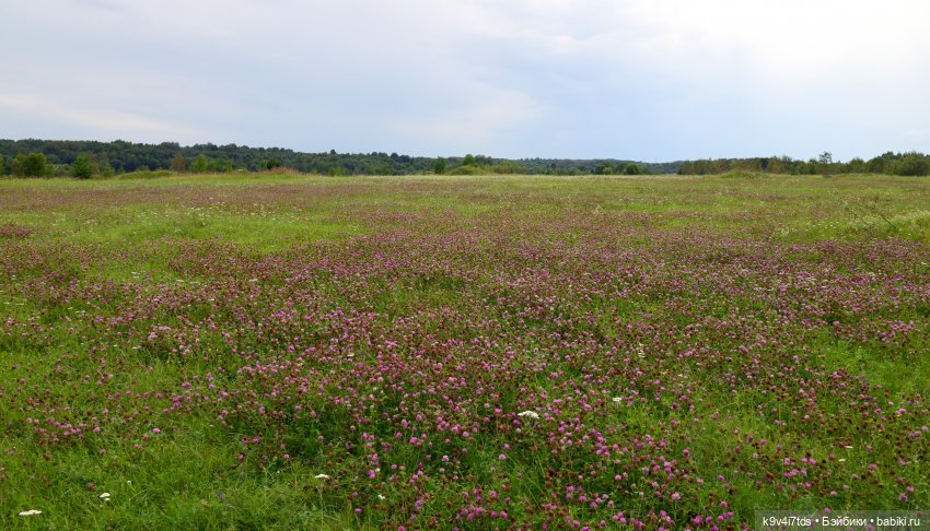 Первое путешествие Дороти, продолжение. Тверской Водопад | Бэйбики Первое путешествие Дороти, продолжение. Тверской Водопад (фото 6)