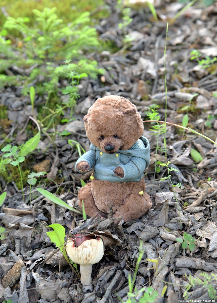 Первое путешествие Дороти. Тверской Водопад | Бэйбики Первое путешествие Дороти. Тверской Водопад