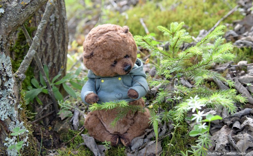 Первое путешествие Дороти. Тверской Водопад | Бэйбики Первое путешествие Дороти. Тверской Водопад