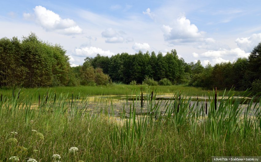 Первое путешествие Дороти. Тверской Водопад | Бэйбики Первое путешествие Дороти. Тверской Водопад (фото 5)