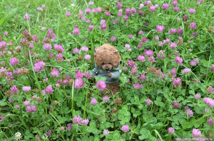 Первое путешествие Дороти, продолжение. Тверской Водопад | Бэйбики Первое путешествие Дороти, продолжение. Тверской Водопад (фото 4)