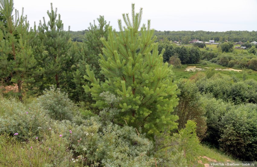 Первое путешествие Дороти, продолжение. Тверской Водопад | Бэйбики Первое путешествие Дороти, продолжение. Тверской Водопад