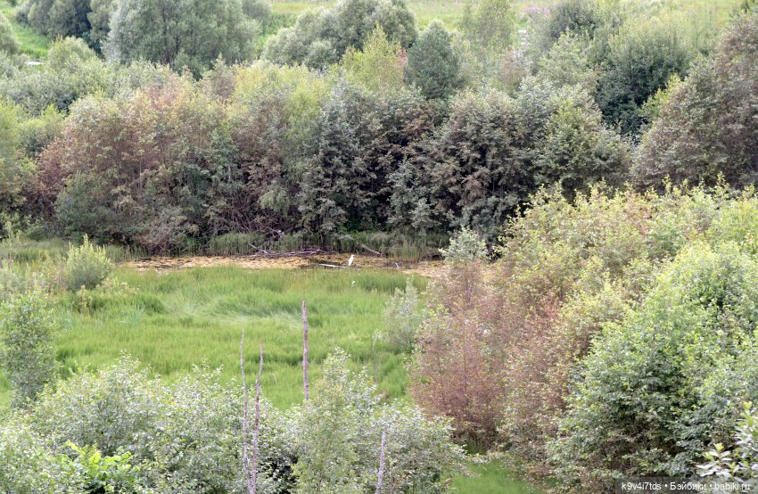 Первое путешествие Дороти, продолжение. Тверской Водопад | Бэйбики Первое путешествие Дороти, продолжение. Тверской Водопад