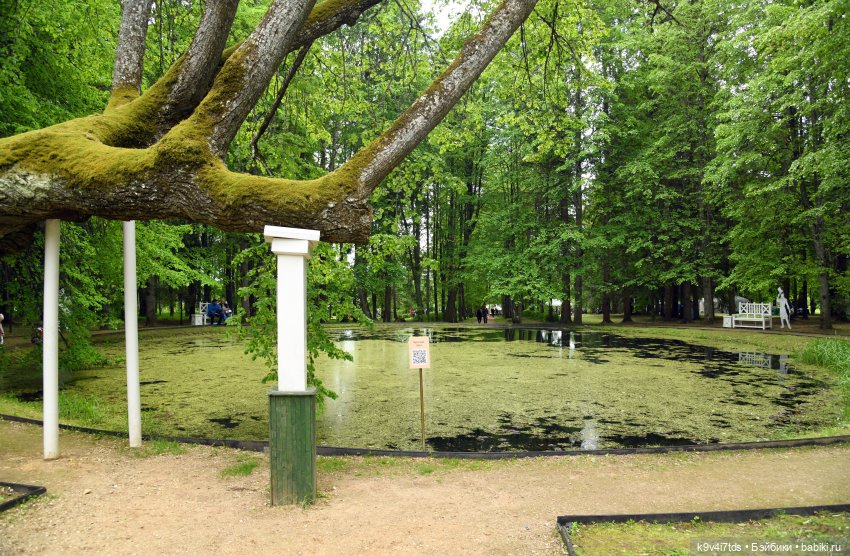 "Наш Пушкин". Пушкинский праздник в Берново, 2023 год