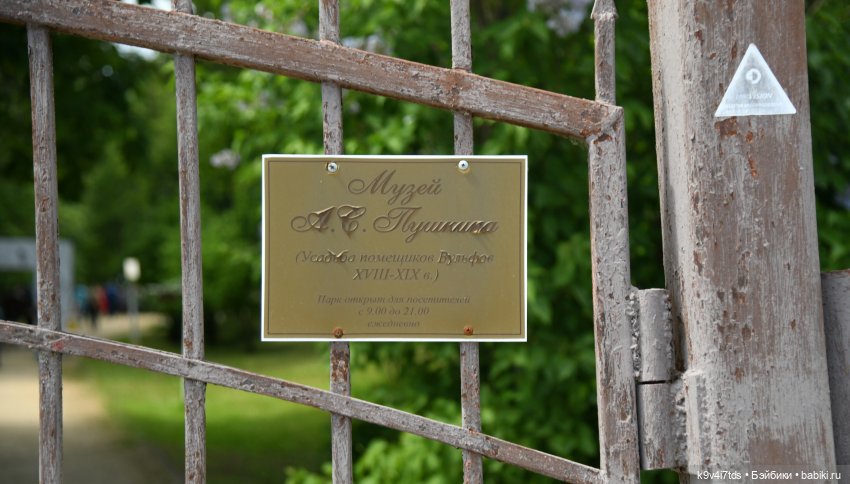 "Наш Пушкин". Пушкинский праздник в Берново, 2023 год (фото 5)